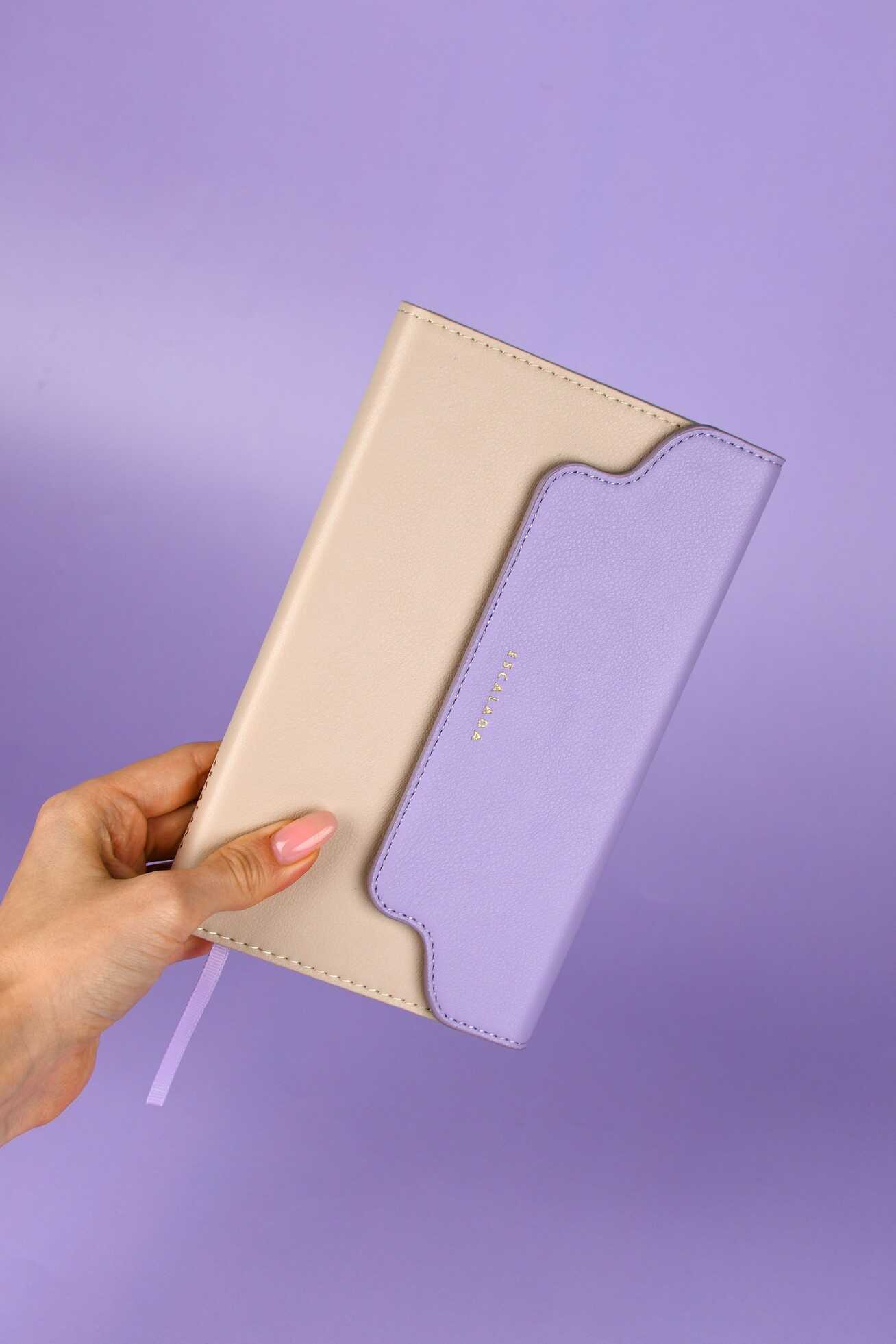 Ежедневник Феникс + ESCALADA 120 лист. - фото 2