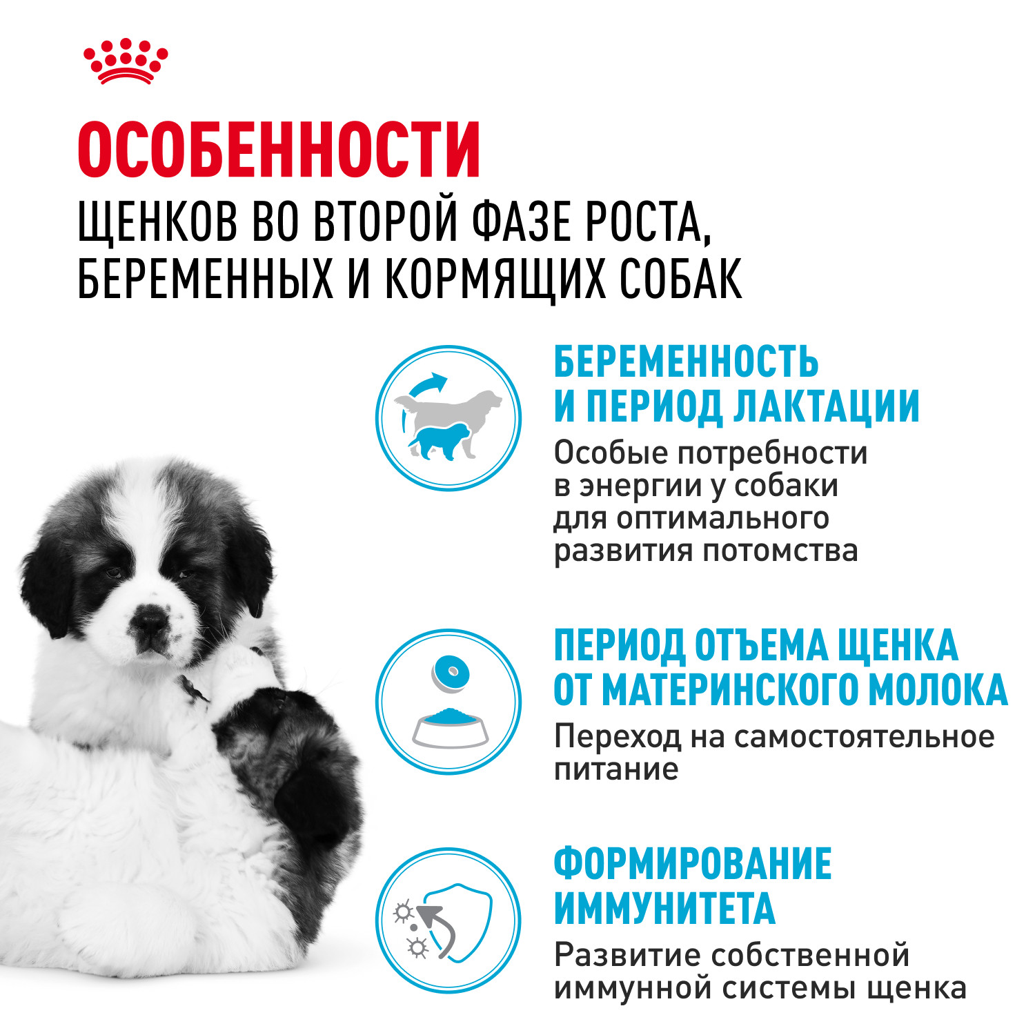 Корм для щенков ROYAL CANIN Starter очень крупных пород 15кг - фото 2
