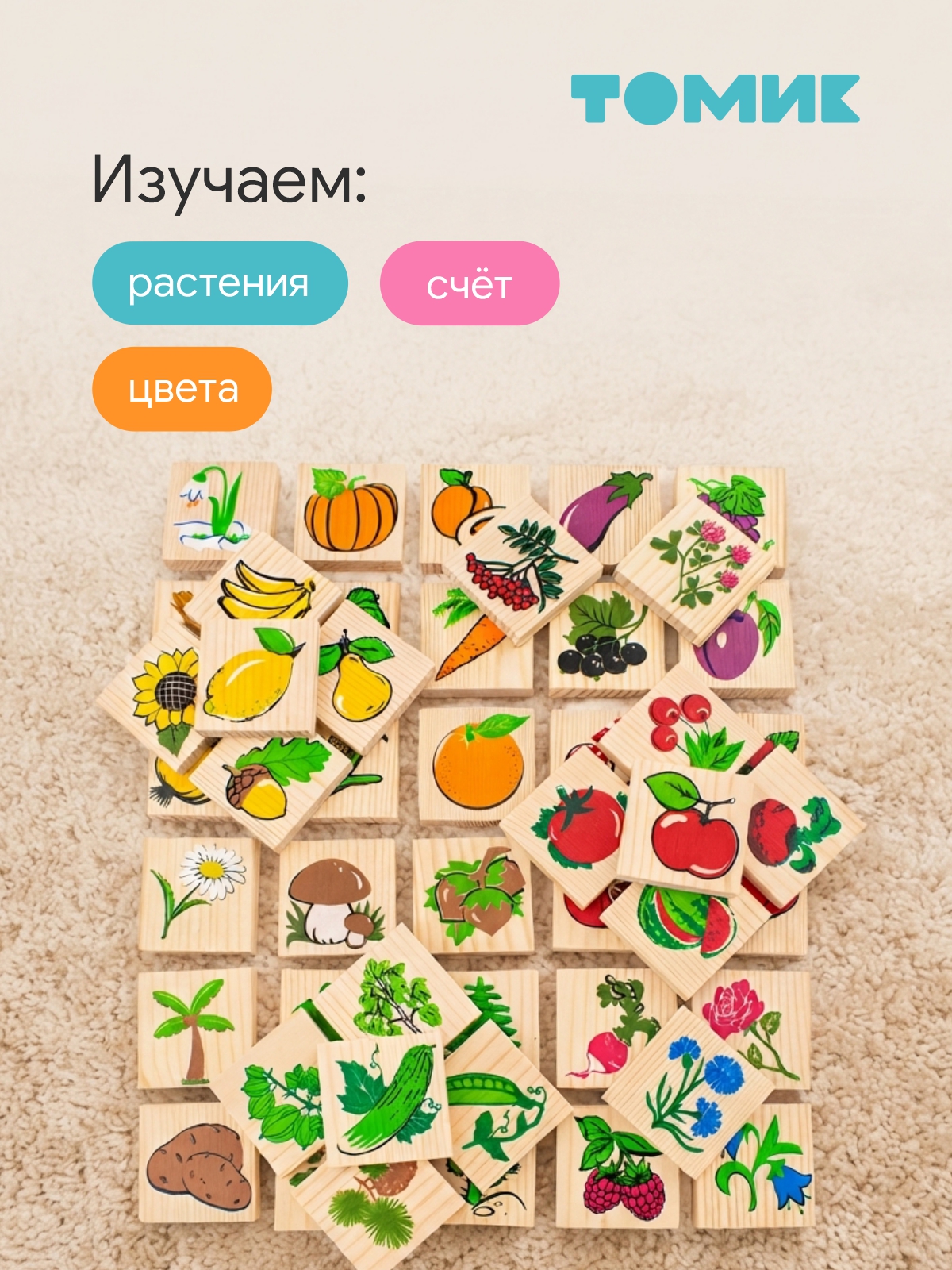 Настольная игра Томик Лото Растительный мир детское - фото 6