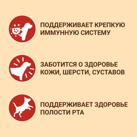 Корм для собак Purina One средних и крупных пород курица-рис 1.8кг
