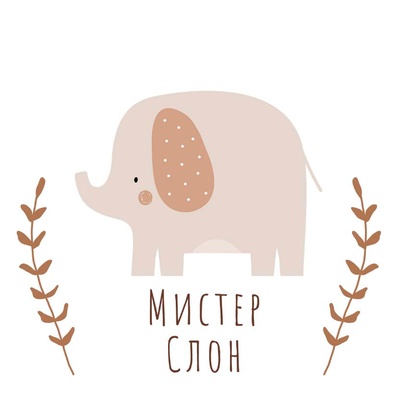 МистерСлон