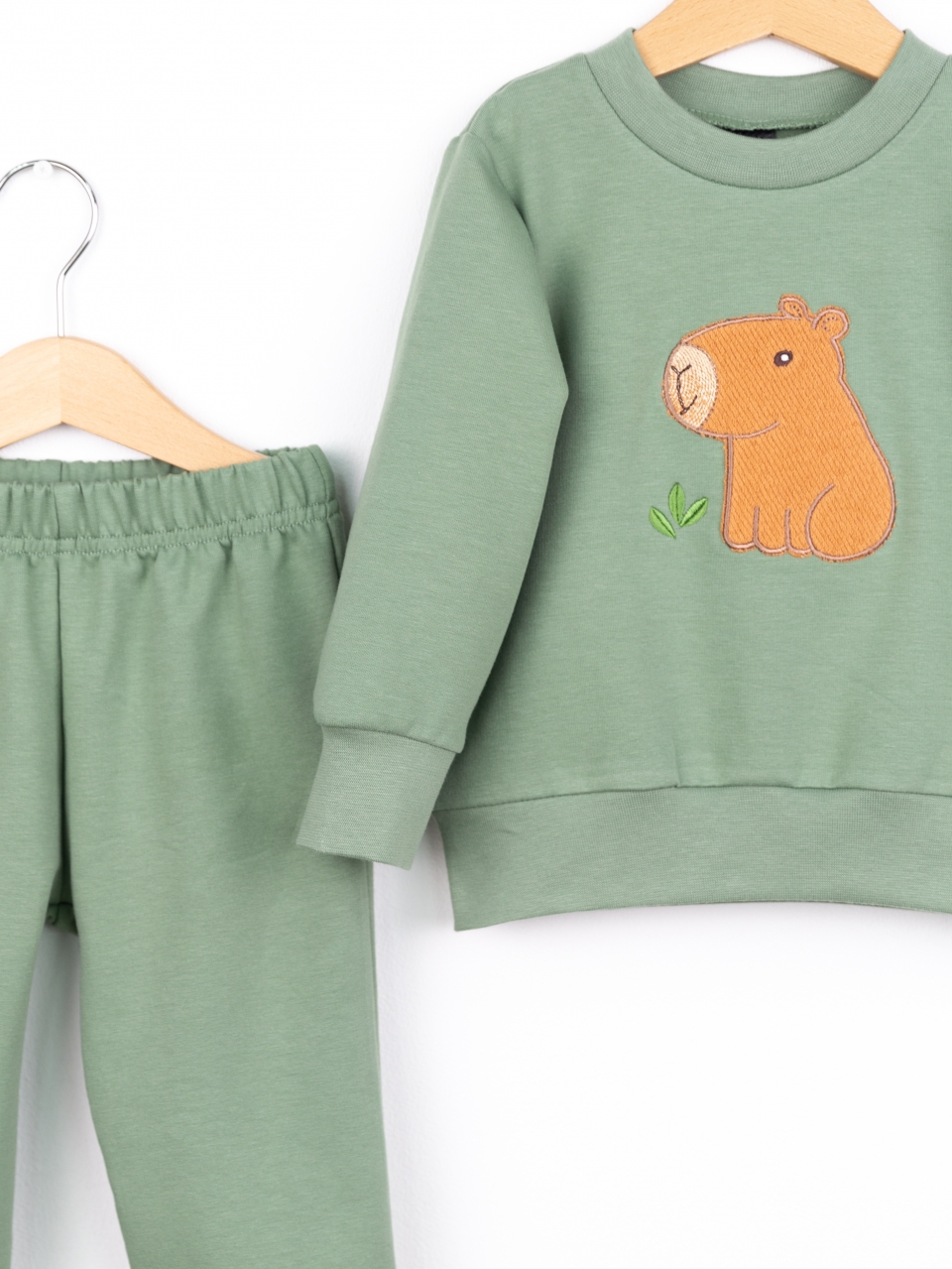 Костюм Baby boom КД568/1-Ф2 аппликация капибара полынь - фото 4