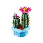 Конструктор LEGO Botanicals Цветущий кактус 482 дет.