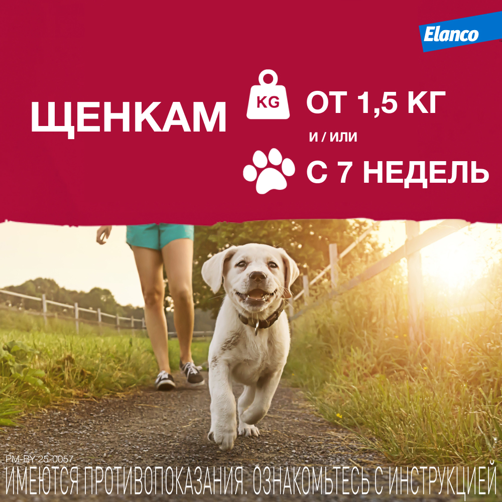 Капли для собак Elanco Адвантикс от 25 до 40 кг против блох и клещей 1пипетка - фото 7