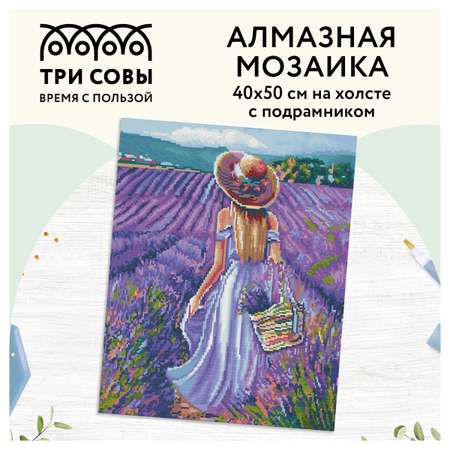 Алмазная мозаика ТРИ СОВЫ Прованс