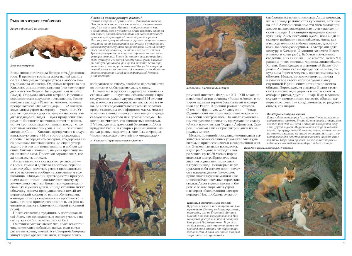 Книга Белый город Загадки животного мира - фото 8