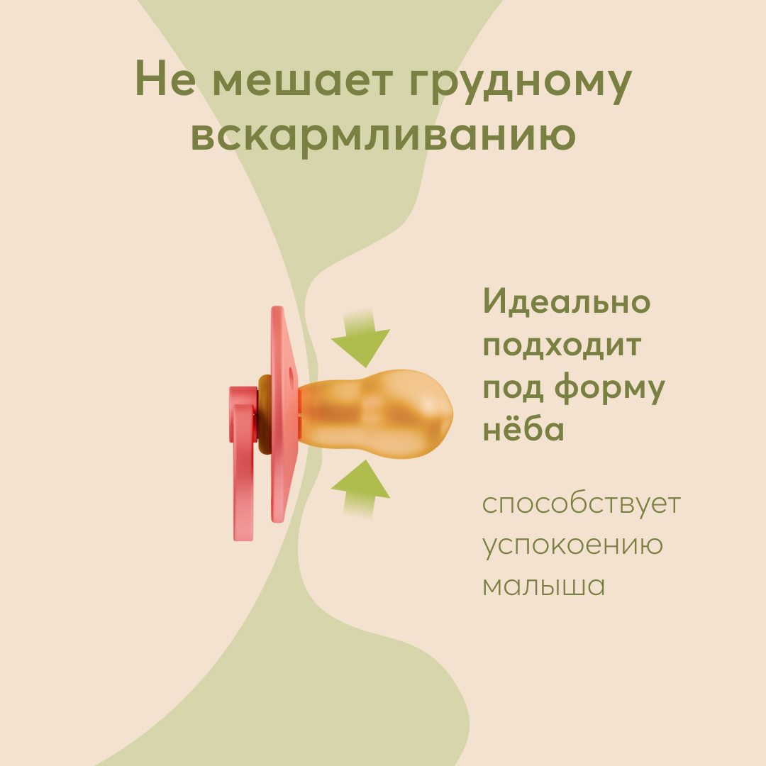 Пустышка Happy Baby латекс от 6 мес. - фото 3