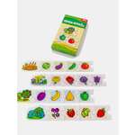 Игра развивающая Дрофа-Медиа Овощи. Фрукты 1150