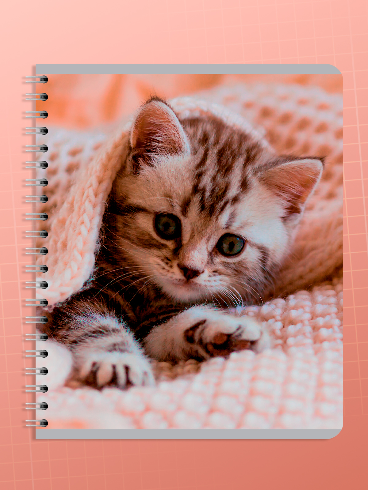 Тетрадь AXLER клетка 96 лист. 4 шт. - фото 6