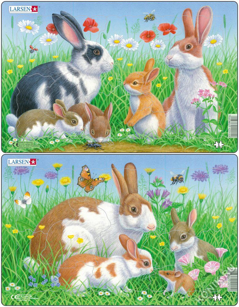 Пазл Larsen классический - фото 1