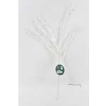 Заснеженная ветвь ё LE-24105