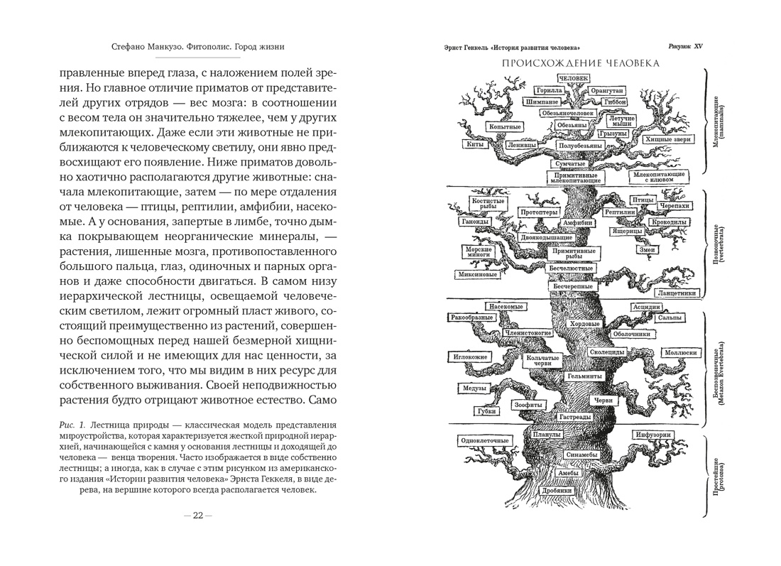 Книга АЗБУКА Бестселлеры NF Манкузо С Фитополис Город жизни - фото 11