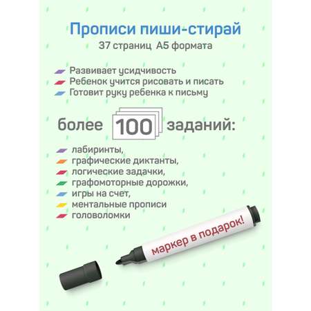 Развивающие книжки ДЕТИ ЛЕПЯТ Пиши стирай