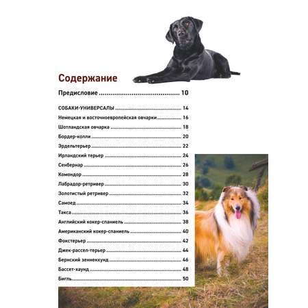 Книга ЭКСМО-ПРЕСС Все породы собак Большая иллюстрированная энциклопедия