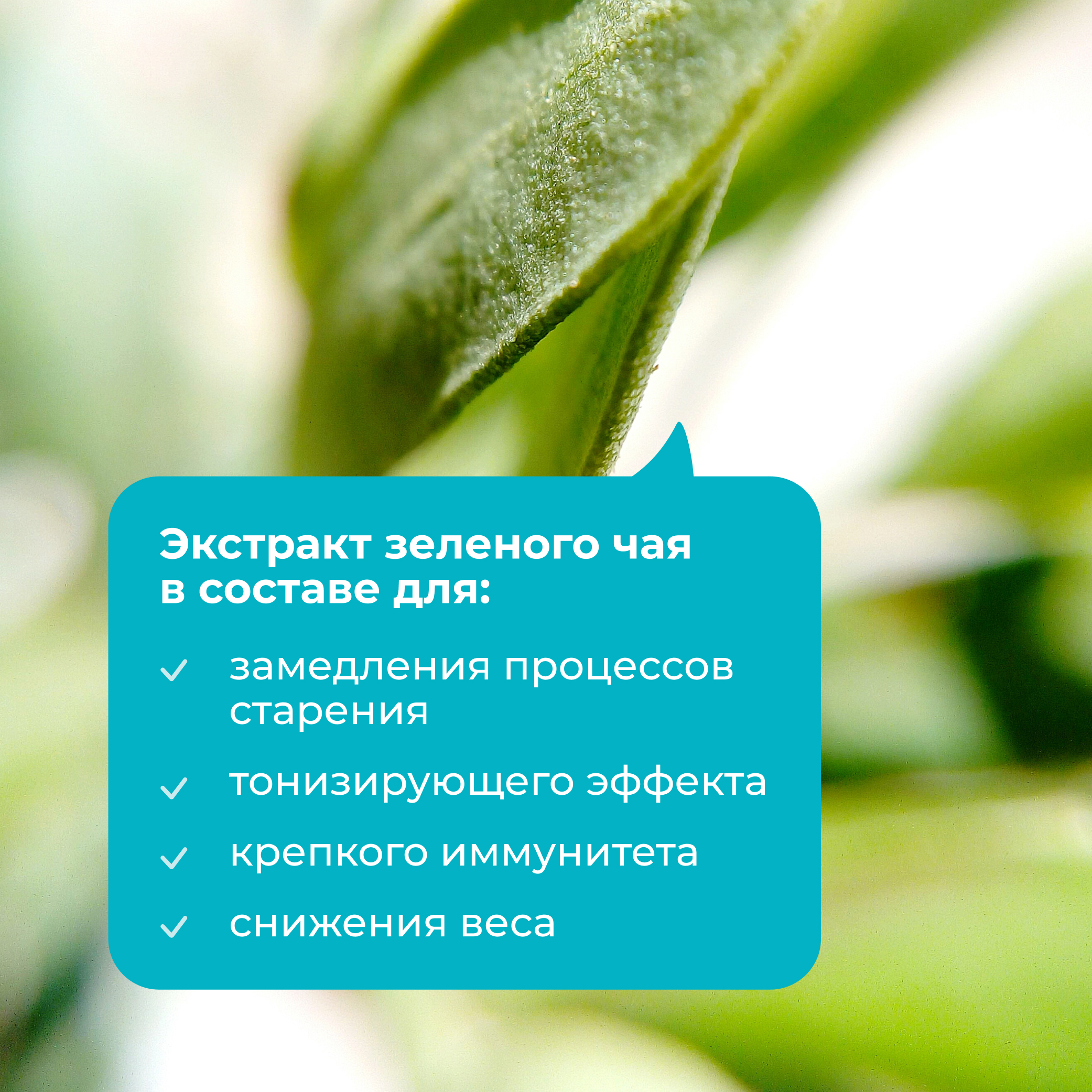 Холин 600 мг с экстрактом зеленого чая LeafToGo для печени и мозга, 60 капсул - фото 3