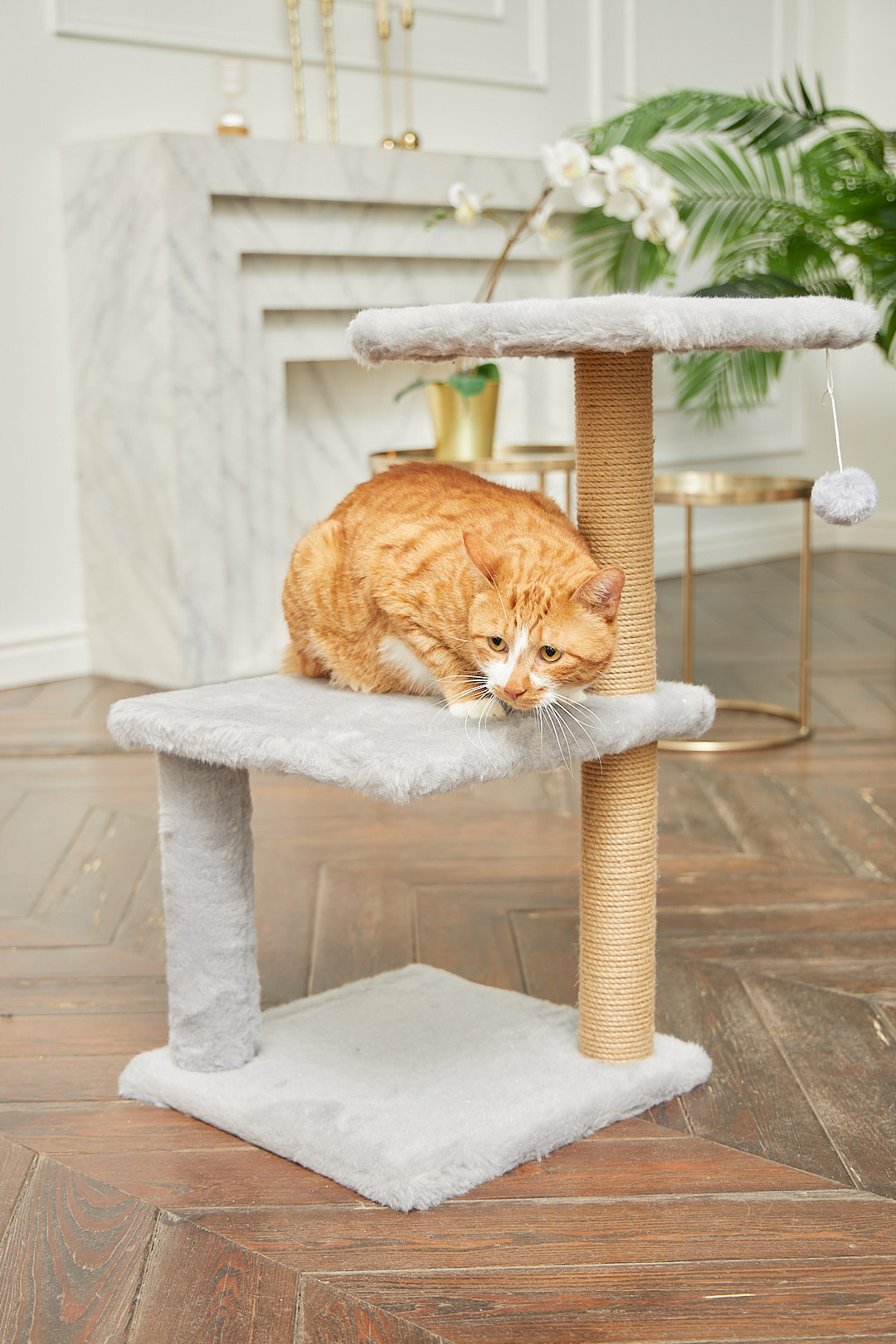 Когтеточка для кошек лежанка Pet БМФ Серый - фото 2