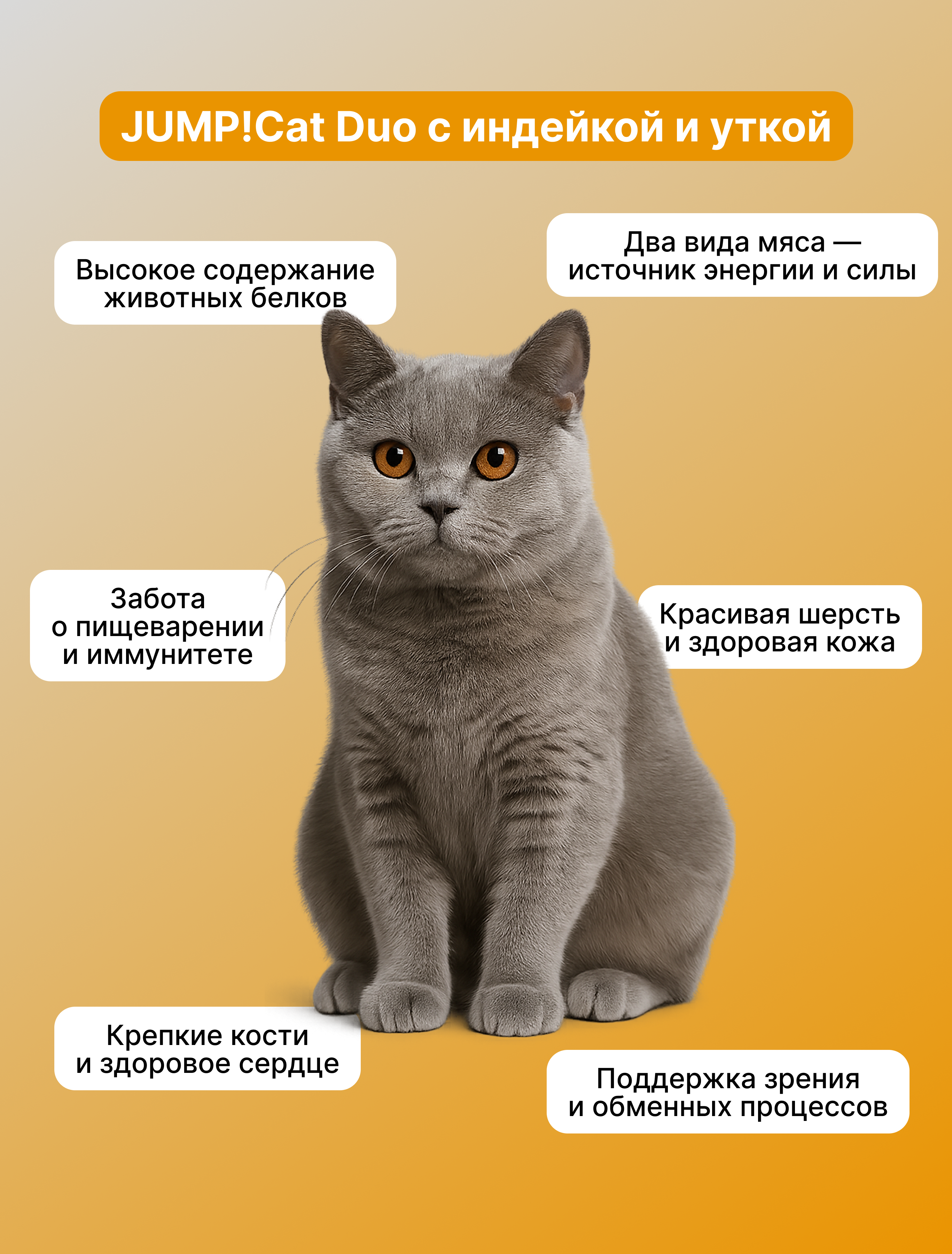 Корм сухой Jump! Для кошек - фото 8