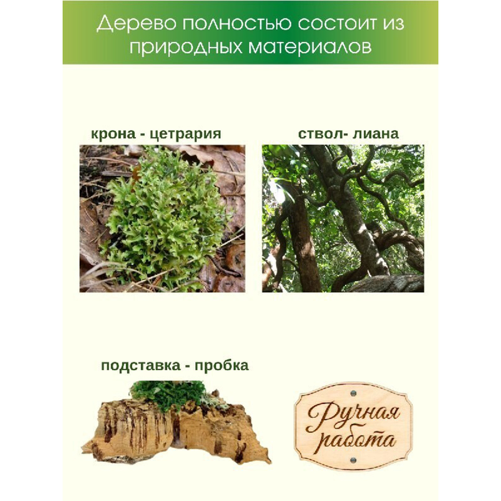 Живое дерево из цетрарии Cetraria Исландская 30 см - фото 4