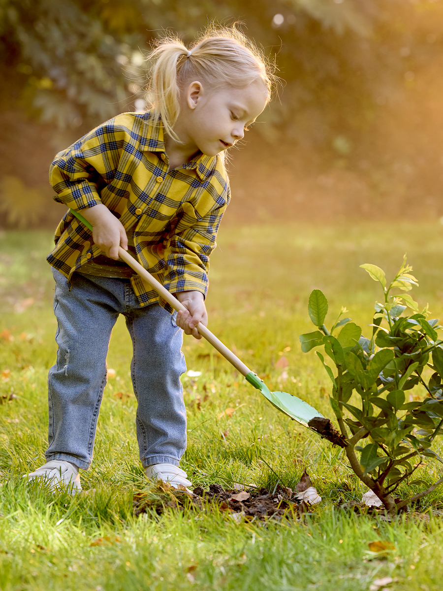 Лопатка Hape - фото 2