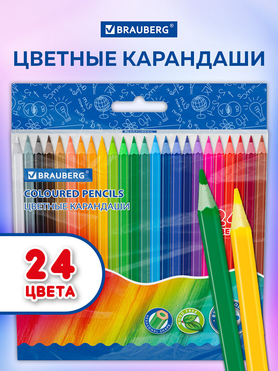 Карандаши цветные Brauberg 24 шт. - фото 1