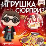 Игровой набор РУ Happy Valley Сюрприз