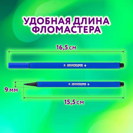 Фломастеры Юнландия 12 цв.
