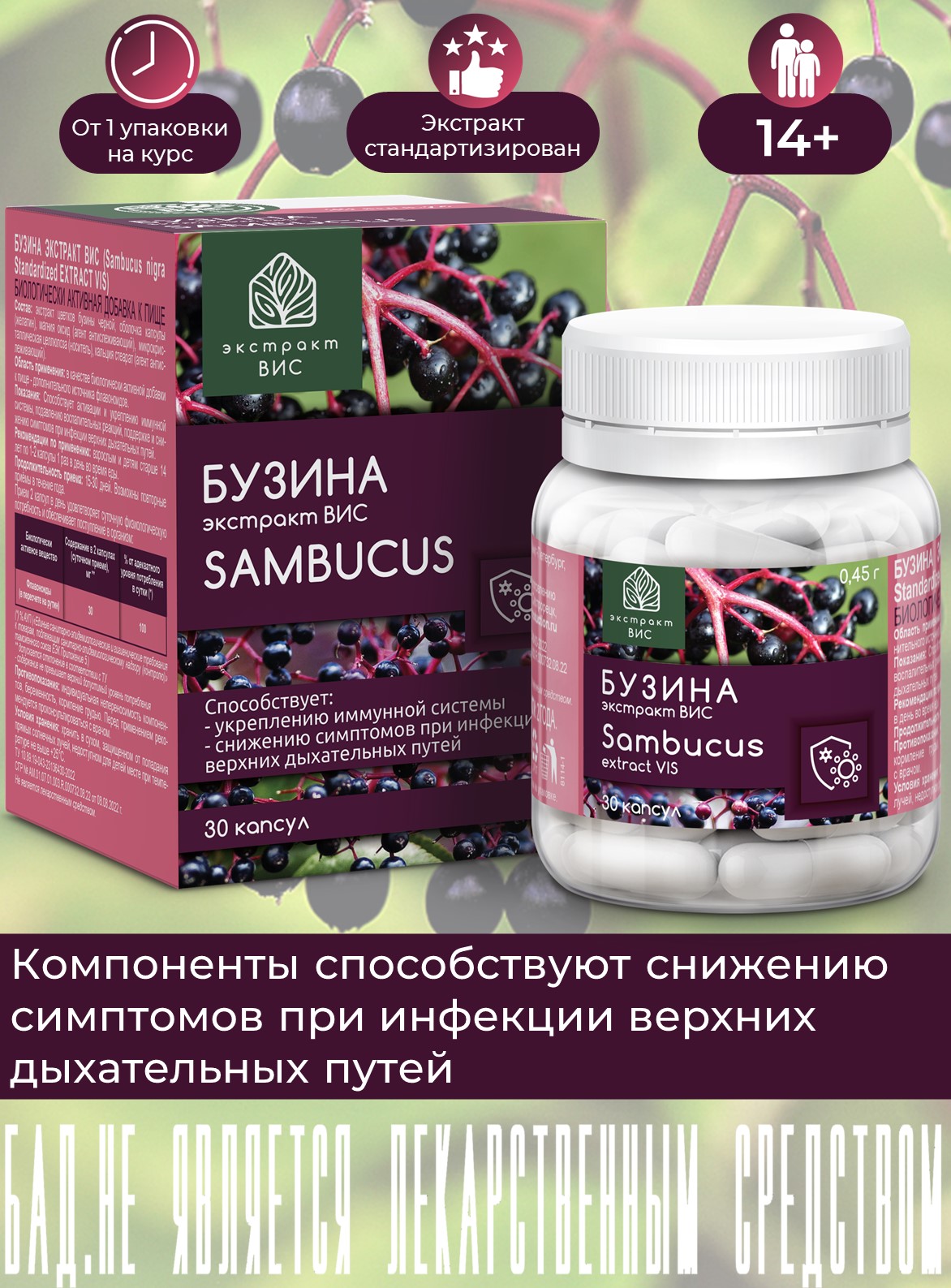 БАД Экстракт-ВИС Бузина капсулы №30 - фото 1