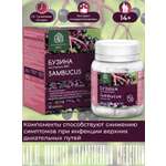 БАД Экстракт-ВИС Бузина капсулы №30