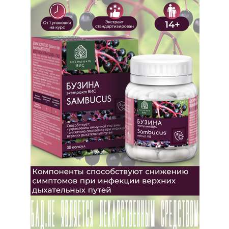 БАД Экстракт-ВИС Бузина капсулы №30