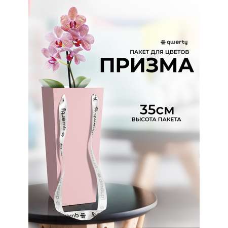 Пакет для цветов Qwerty Призма