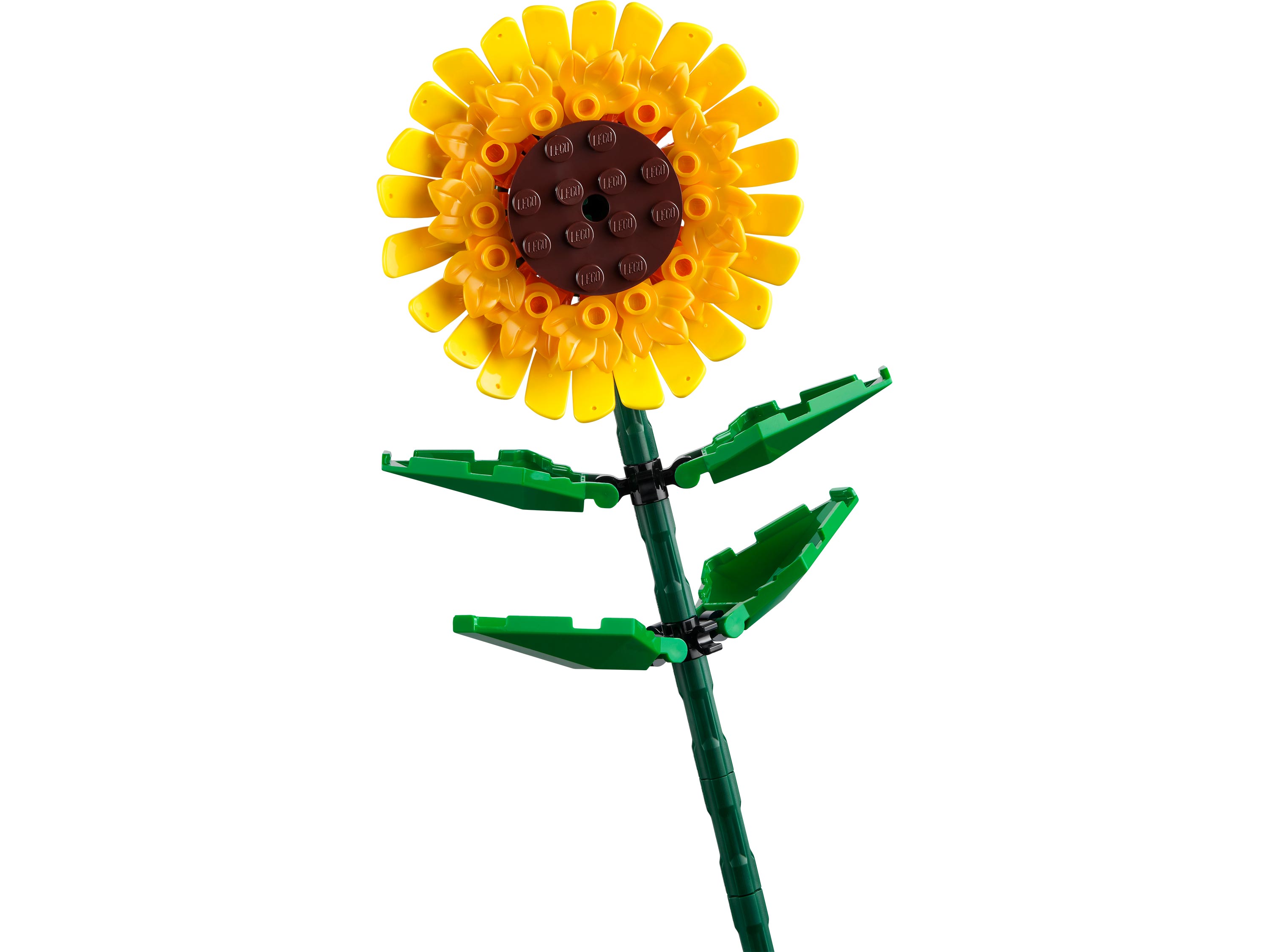 Конструктор LEGO Botanicals Сувенирный набор 191 дет. - фото 2