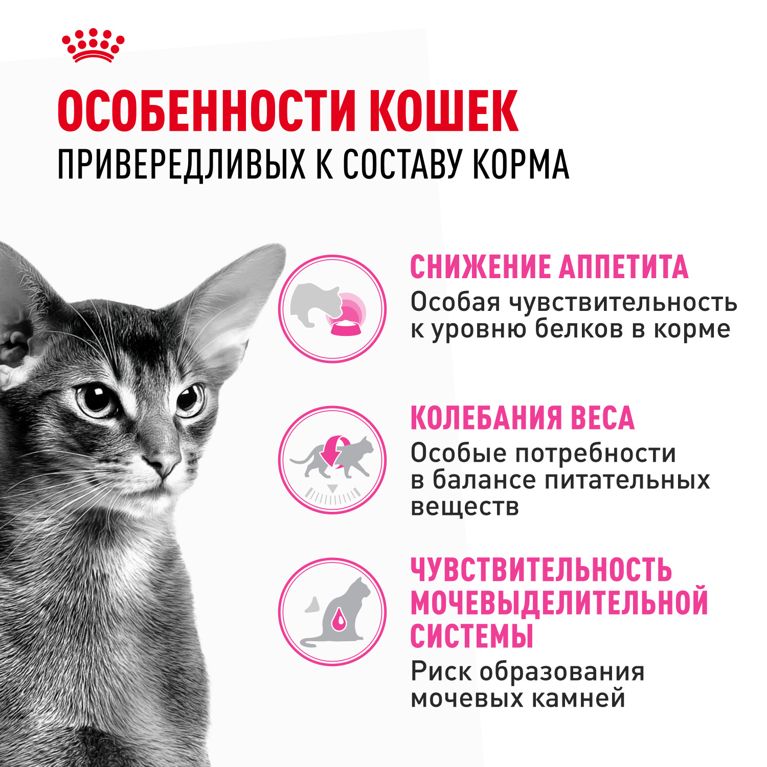 Корм для кошек ROYAL CANIN Exigent Protein привередливых к составу продукта 10кг - фото 2