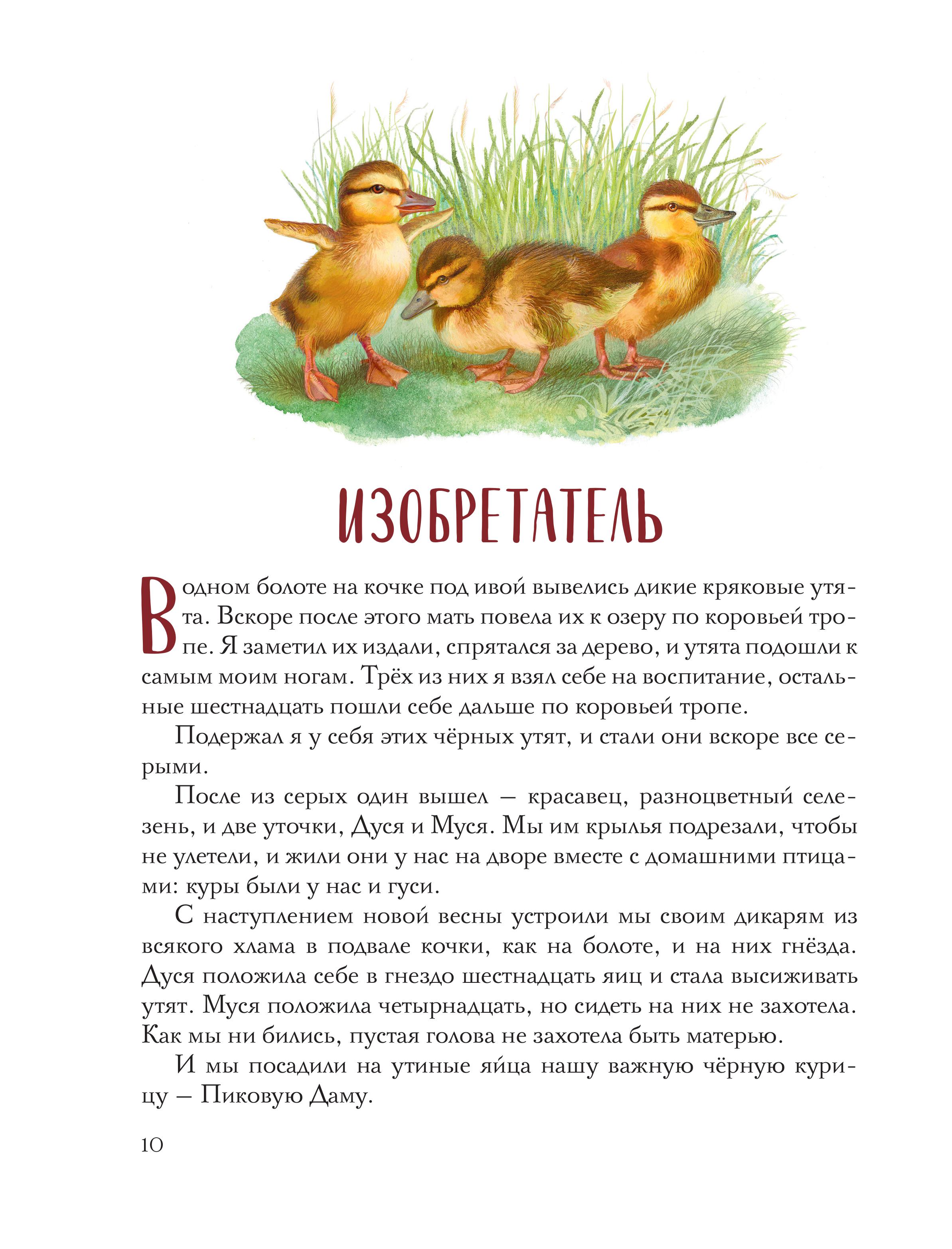 Книга Эксмо Золотой луг. Рассказы о животных (ил. Дударенко) - фото 9