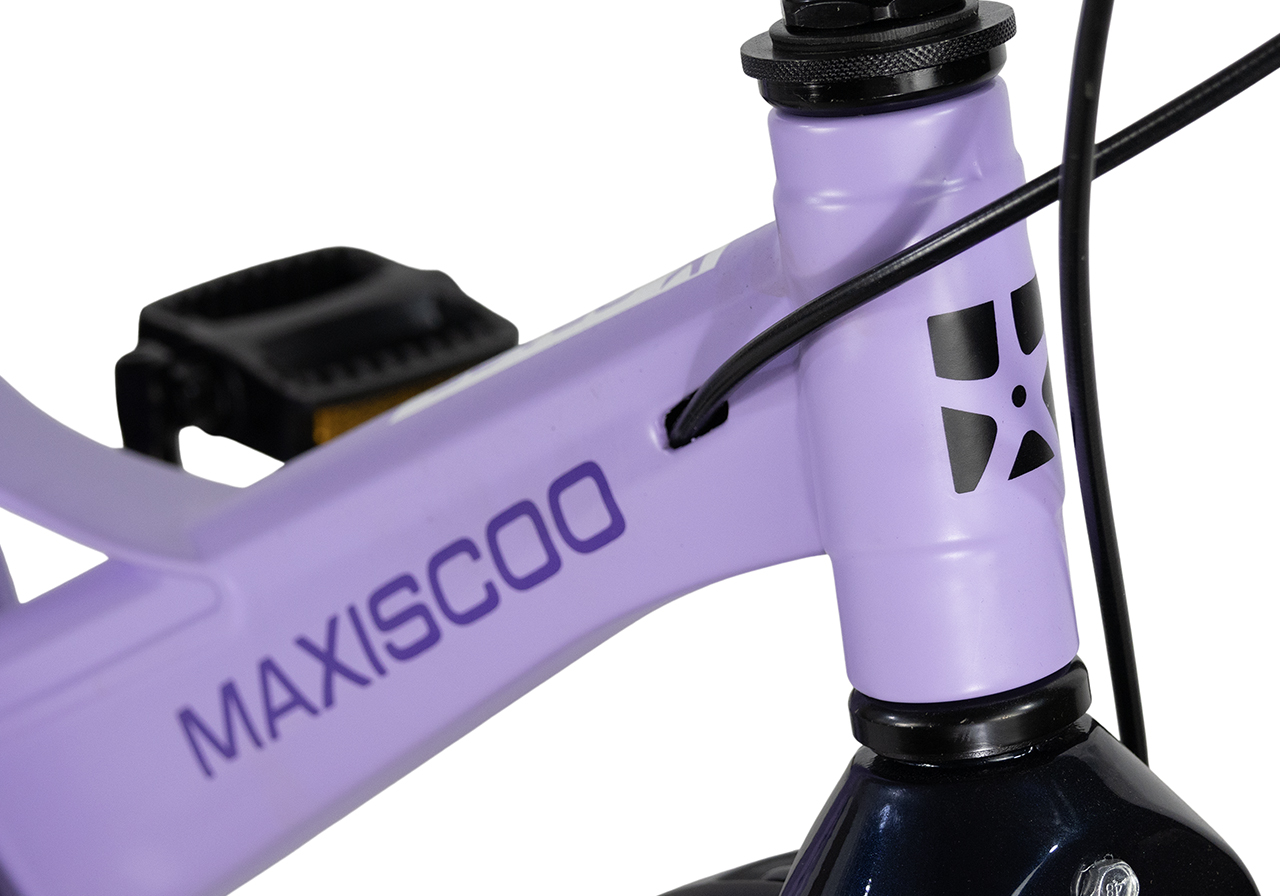 Двухколесный велосипед Maxiscoo 16 дюймов - фото 4