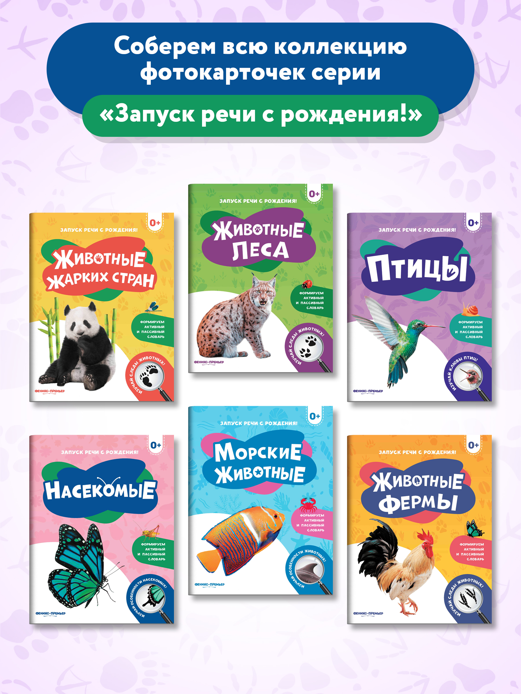 Книга Феникс Премьер Насекомые. Фотоброшюра 0+ - фото 10