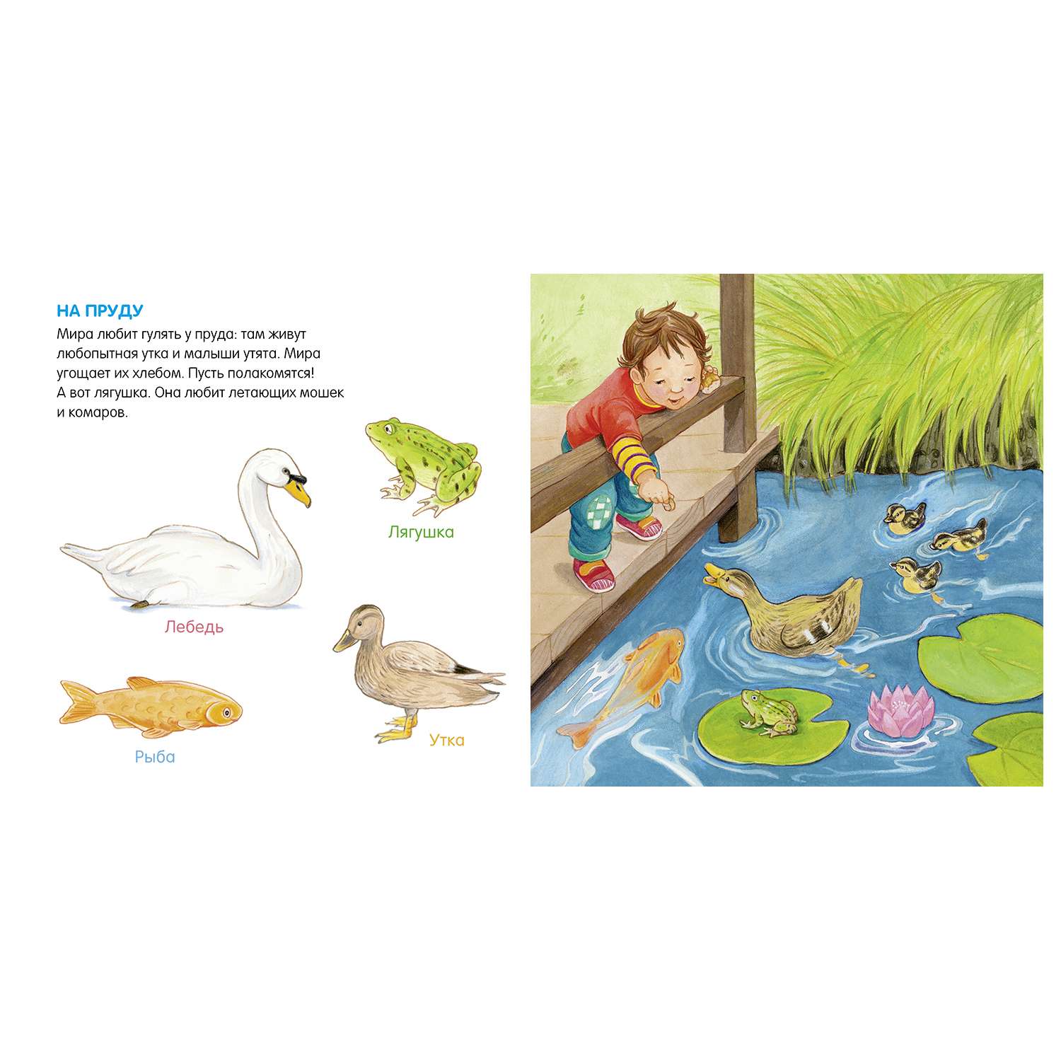 Книга Clever Книжки картонки Я учусь говорить Животные - фото 2