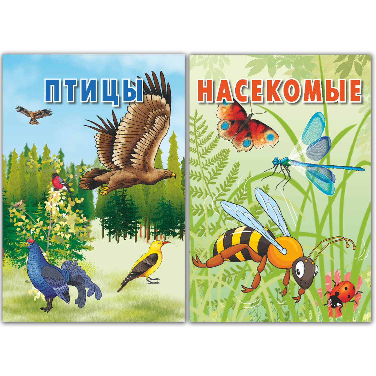 Карточки РУЗ Ко Птицы и Насекомые - фото 1