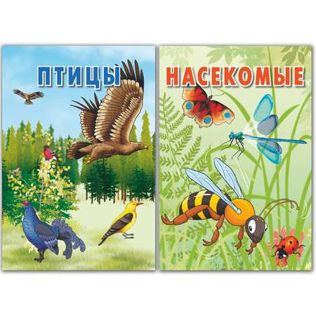 Карточки РУЗ Ко Птицы и Насекомые