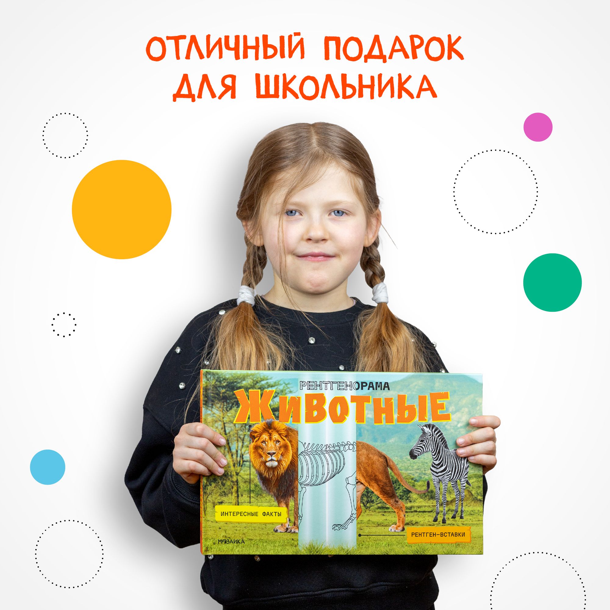 Книга Рентгенорама Животные - фото 11