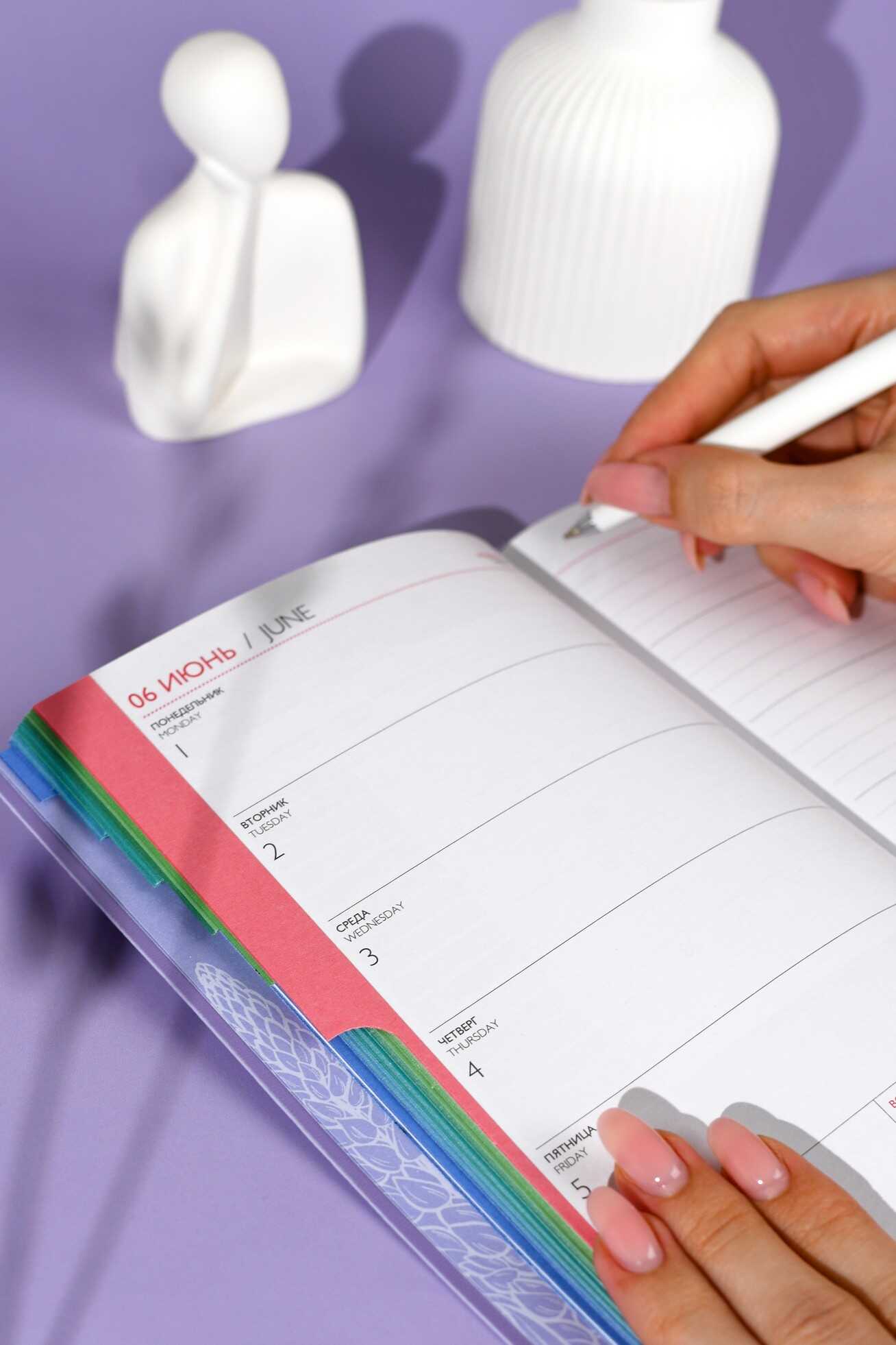 Ежедневник Феникс + ESCALADA 96 лист. - фото 13