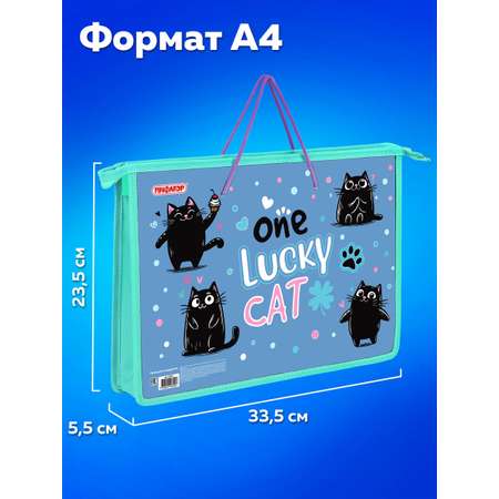 Папка для тетрадей Пифагор А4