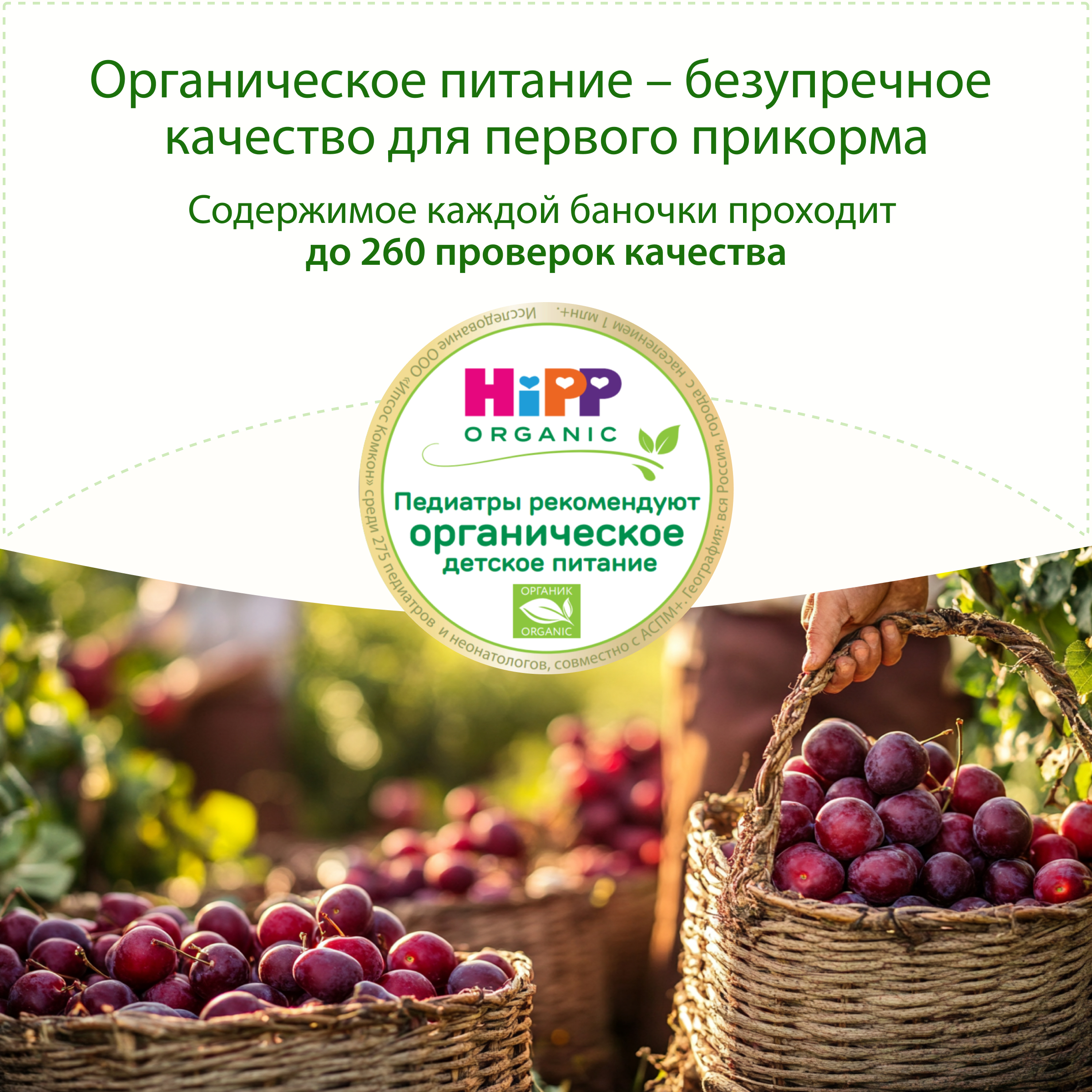 Пюре Hipp Слива с 5 мес 80 г - фото 10