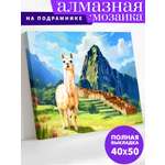 Алмазная мозаика Art on Canvas Лама в горах в ассортименте
