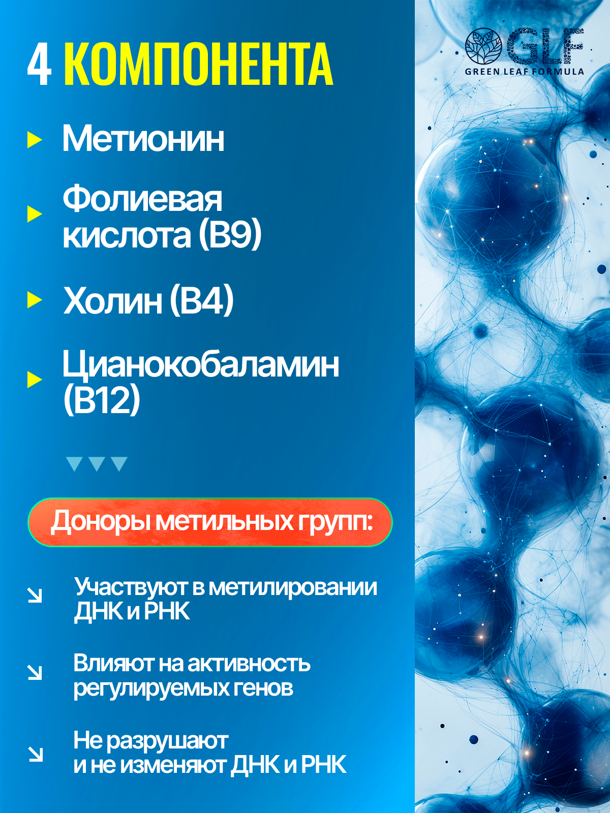 Метионин аминокислота Green Leaf Formula для беременных и кормящих женщин 60 капсул - фото 8