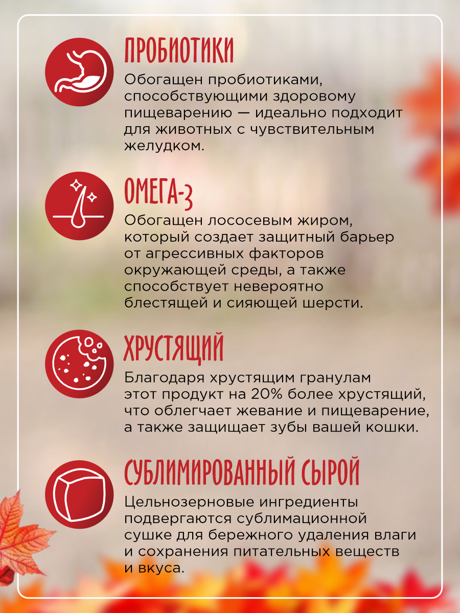 Сухой корм для кошек Paddy Time Курица с лососем с сублимированным мясом 1.5 кг - фото 4