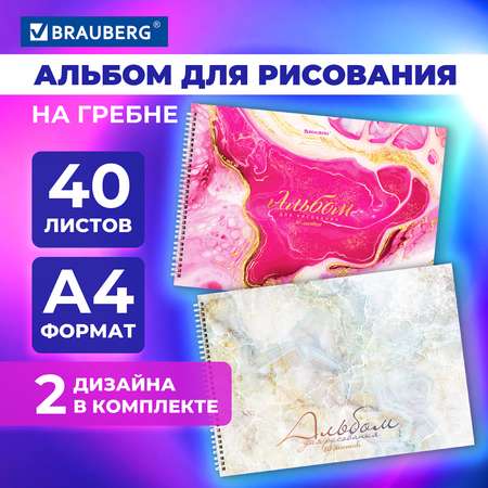 Альбом Brauberg А4 40 лист. 2 шт.