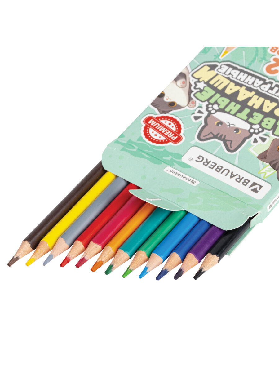 Карандаши Brauberg - фото 5