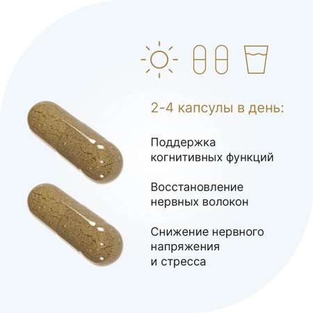 БАД Эвалар Ежовик гребенчатый Evalar Laboratory 300 мг 60 капсул
