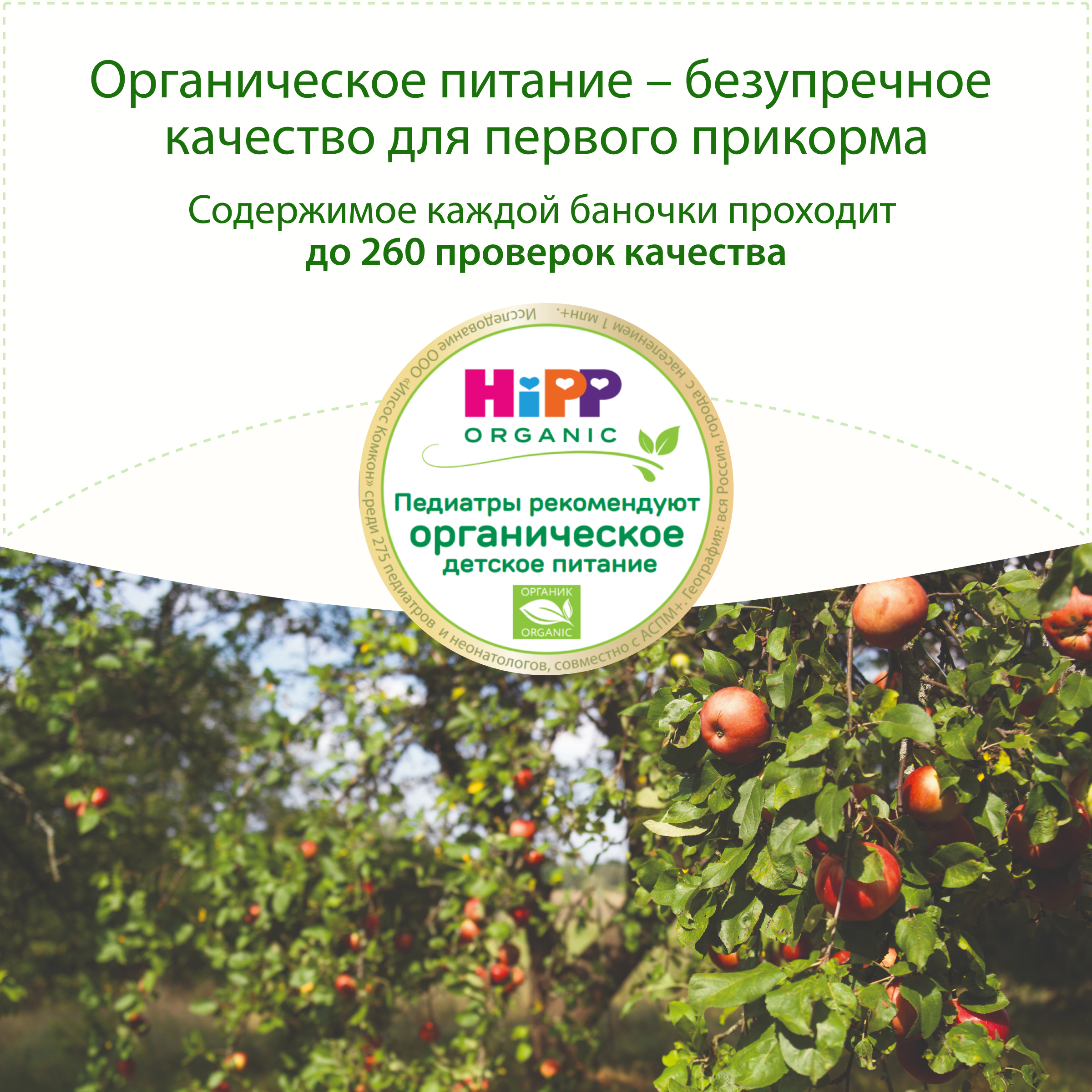 Десерт Hipp Молочный пшеничный Яблоко-персик с 5 мес 190 г - фото 3