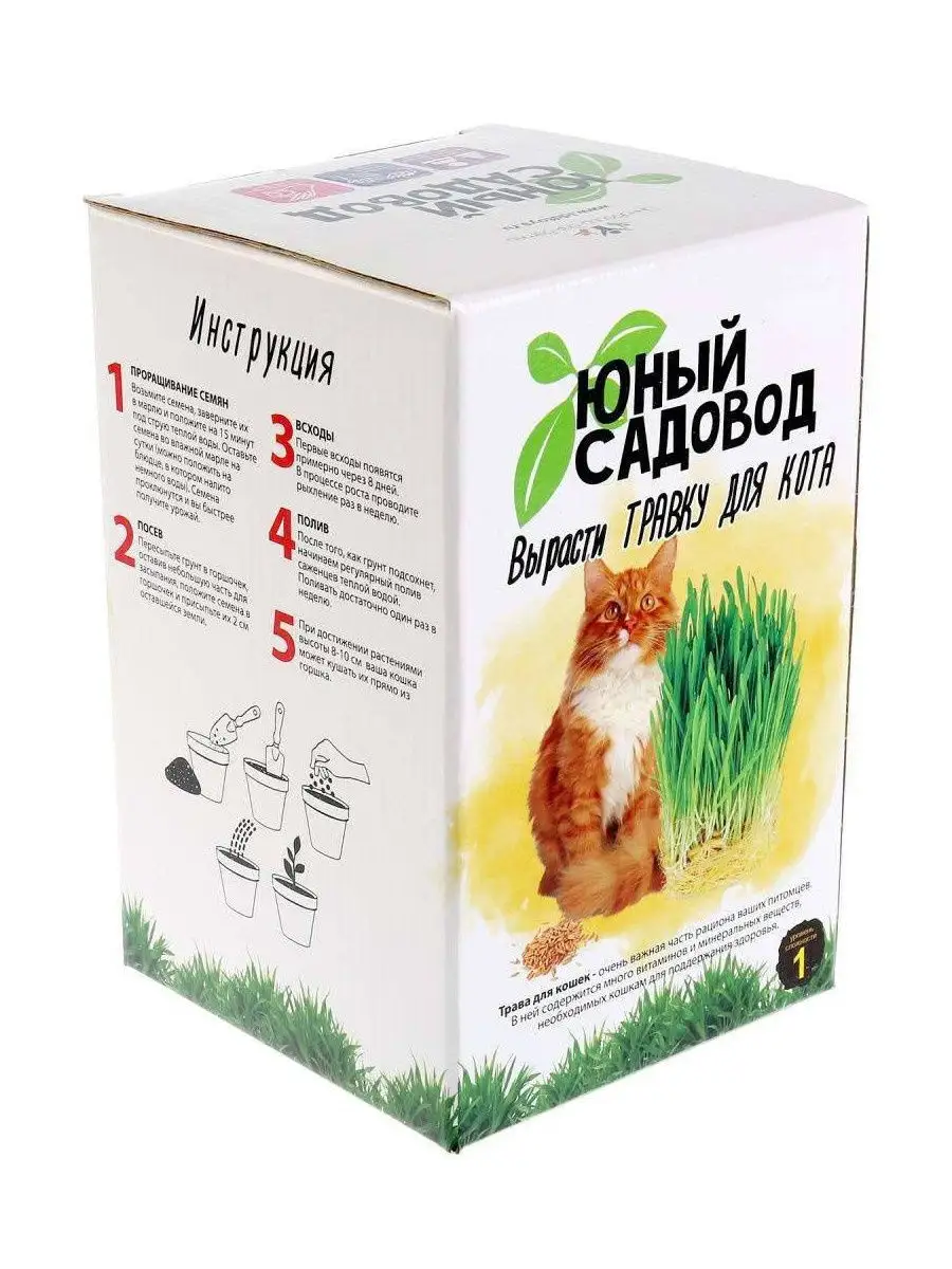 ВИСМА - фото 1